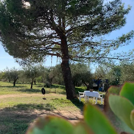 Holiday home Dell' Ulivo Caltagirone