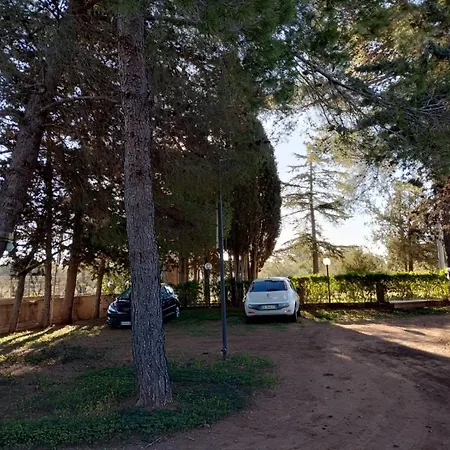 Dell' Ulivo Caltagirone