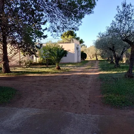 Dell' Ulivo * Caltagirone