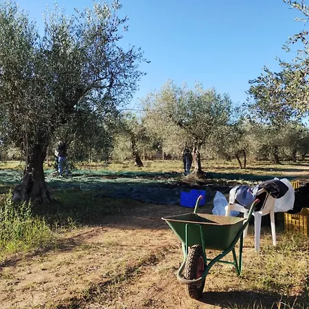 Dell' Ulivo Holiday home *