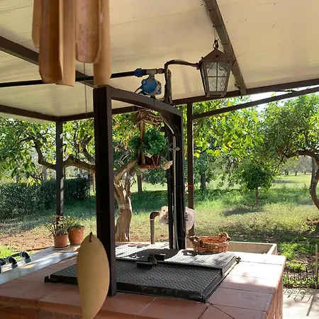 Dell' Ulivo Holiday home Caltagirone