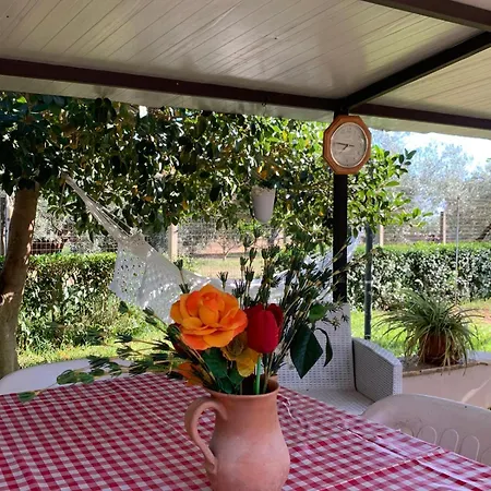 Holiday home Dell' Ulivo