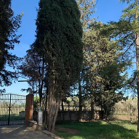 Dell' Ulivo Holiday home Caltagirone