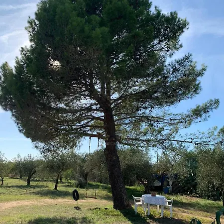 Dell' Ulivo Holiday home Caltagirone