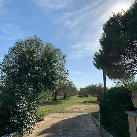 Holiday home Dell' Ulivo *