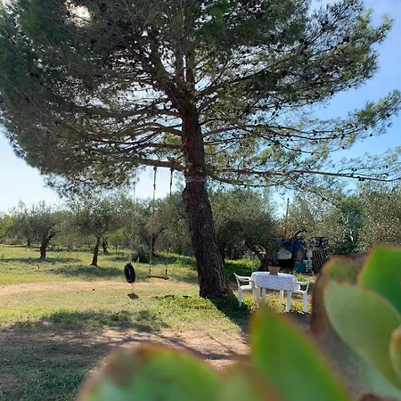 Dell' Ulivo Holiday home Caltagirone