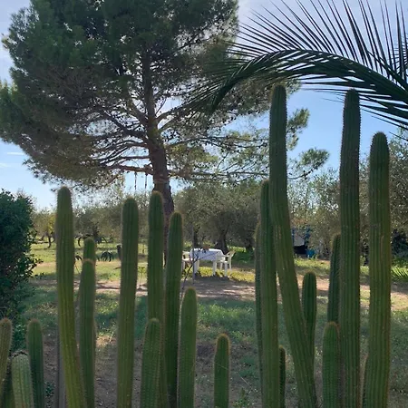 Holiday home Dell' Ulivo Caltagirone