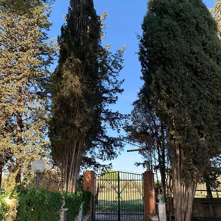 Dell' Ulivo *